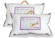 Twin Pack (2 x Gx Suspension Pillows - 2nd Generation)